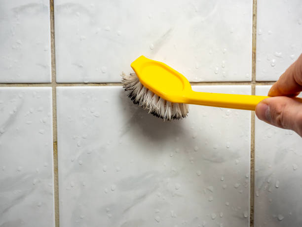 Best Commercial Mold Removal  in Pis, AR