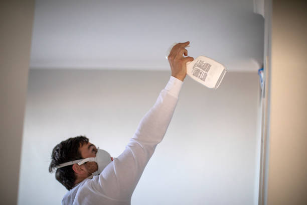 Certified Mold Removal in Paris, AR