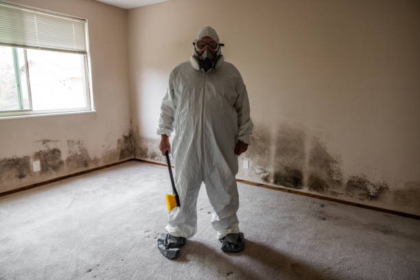 Best Residential Mold Removal  in Pis, AR